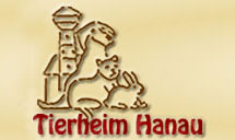 Tierheim Hanau Stadttauben