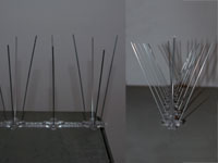 Taubenspikes